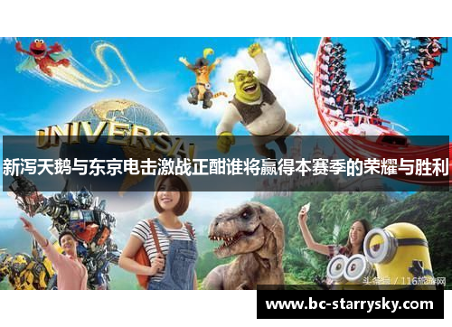 新泻天鹅与东京电击激战正酣谁将赢得本赛季的荣耀与胜利