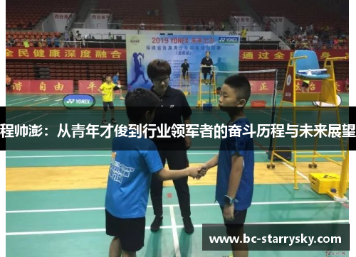 程帅澎：从青年才俊到行业领军者的奋斗历程与未来展望